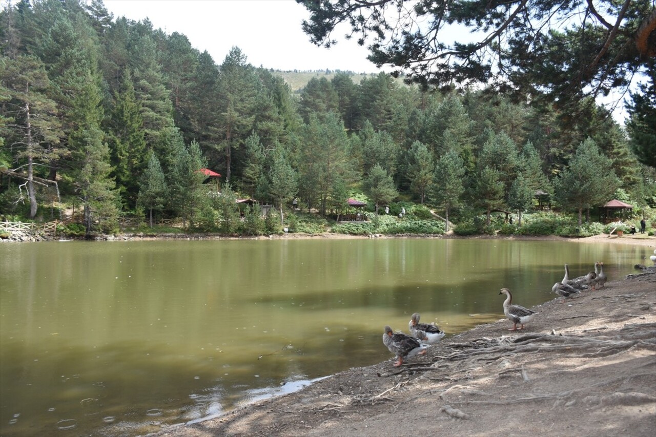 Gümüşhane'nin Torul ilçesindeki turizm merkezlerinden Limni Gölü Tabiat Parkı, yerli ve yabancı...