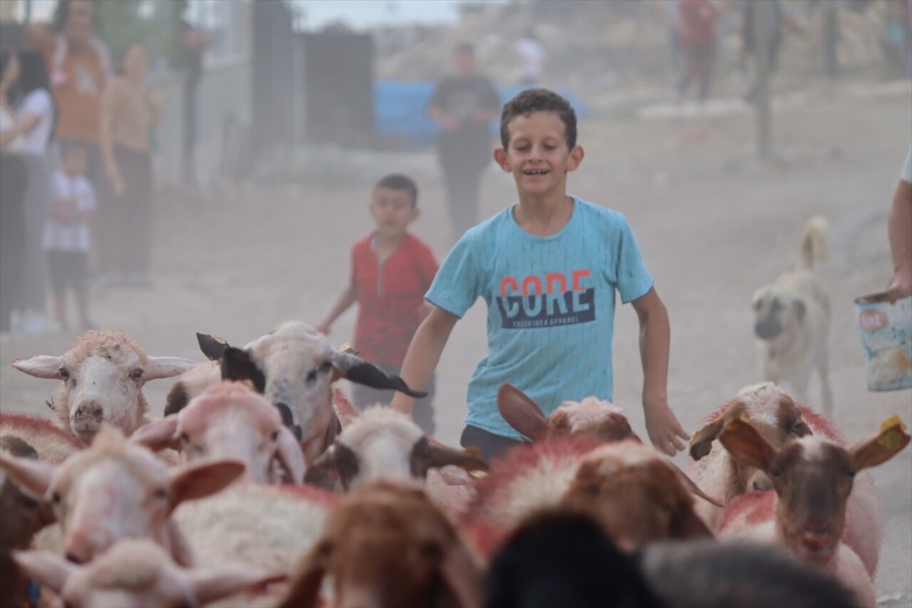 Burdur'un Tefenni ilçesinde 7 asrı aşan sudan koyun geçirme geleneği sürdürülüyor. "Yünüm Böğet"...