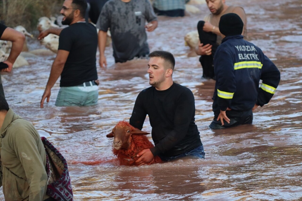 Burdur'un Tefenni ilçesinde 7 asrı aşan sudan koyun geçirme geleneği sürdürülüyor. "Yünüm Böğet"...