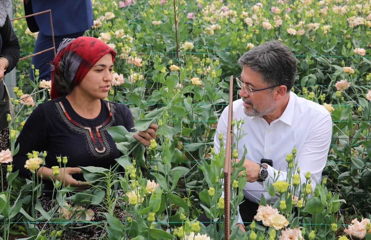 Tarım ve Orman Bakanı İbrahim Yumaklı, Tokat'ın Erbaa ilçesinde çiçek serasında incelemelerde...