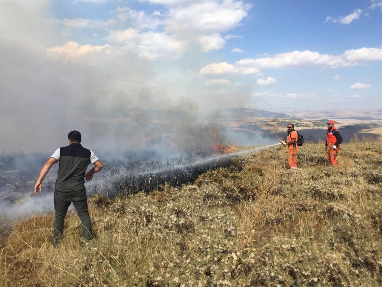 Bingöl'de merada çıkan örtü yangını ekipler tarafından ormanlık alana sıçramadan...