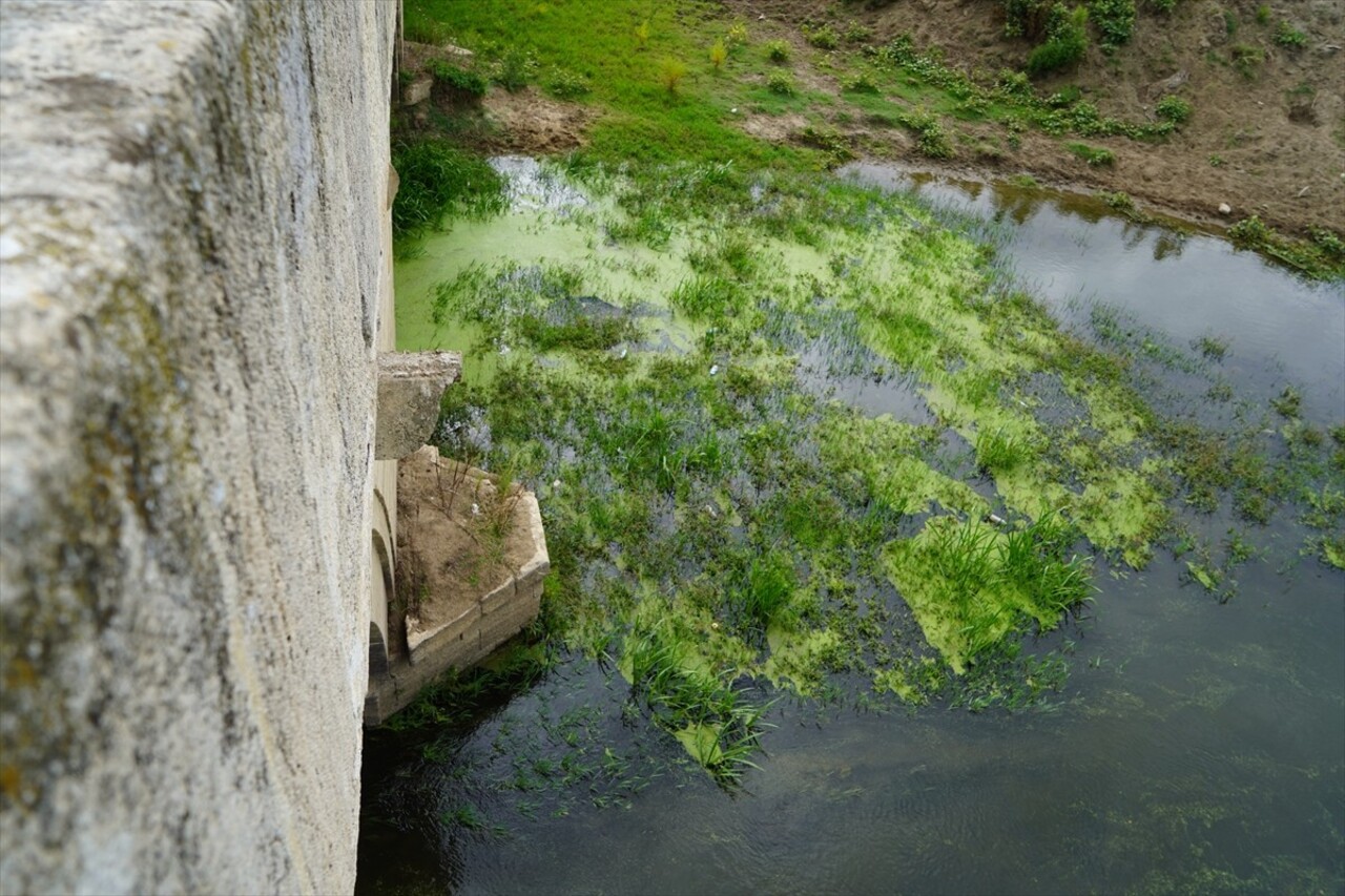 Edirne'nin önemli su kaynaklarından olan Tunca Nehri'nin debisi 2021 yılından beri düşüyor....