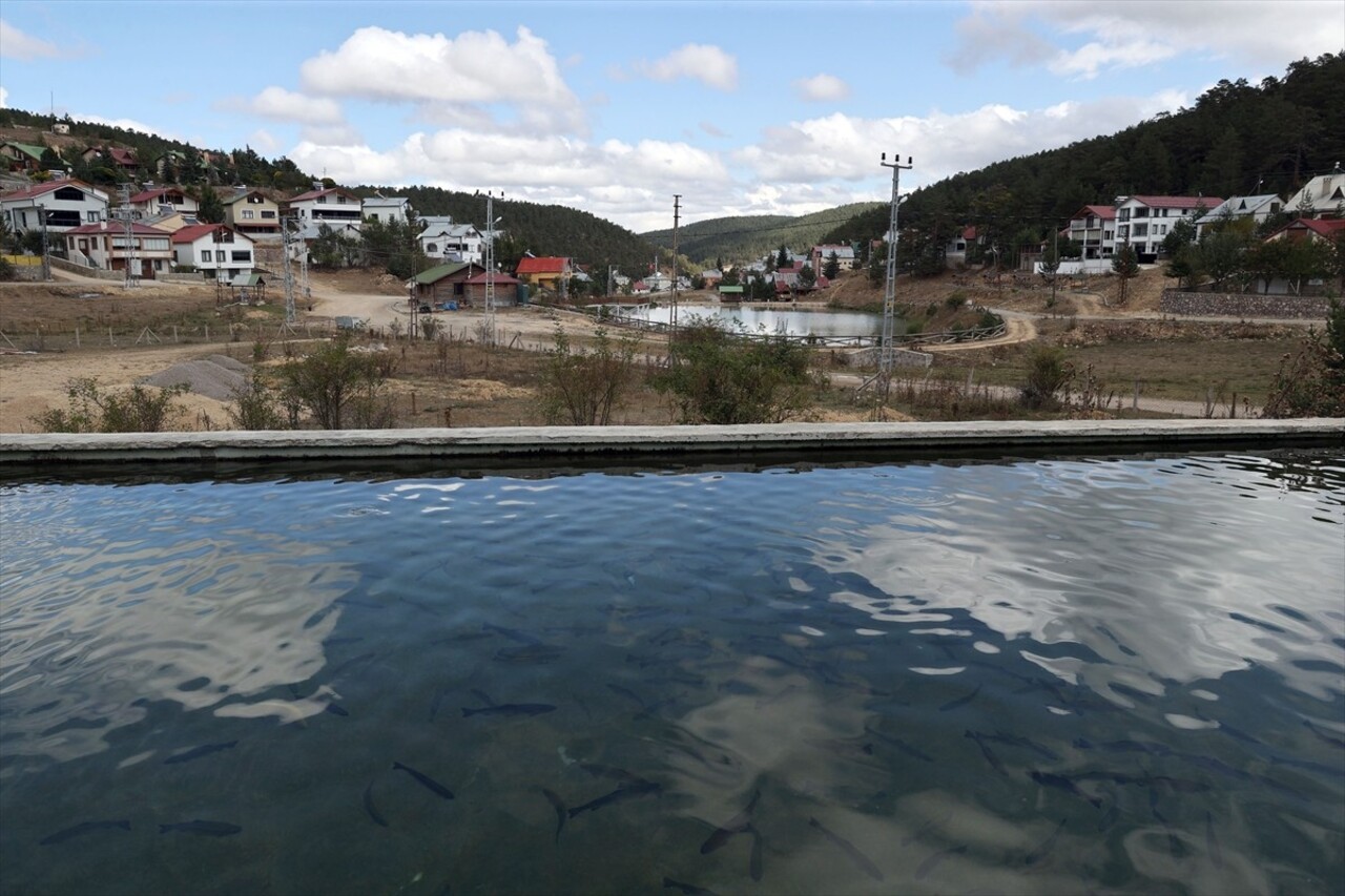 Sivas'ın Koyulhisar ilçesinde bulunan Eğriçimen Yaylası, temiz havası ve doğal güzellikleriyle her...