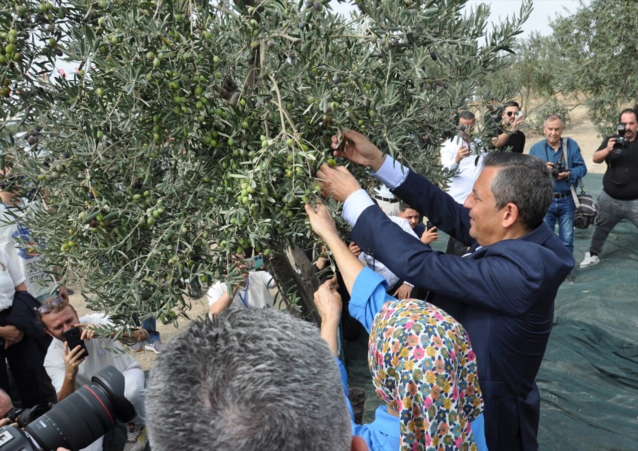 CHP Genel Başkanı Özgür Özel (sağ 2), Manisa'nın Soma ilçesinde zeytin şenliğine katıldı, zeytin...