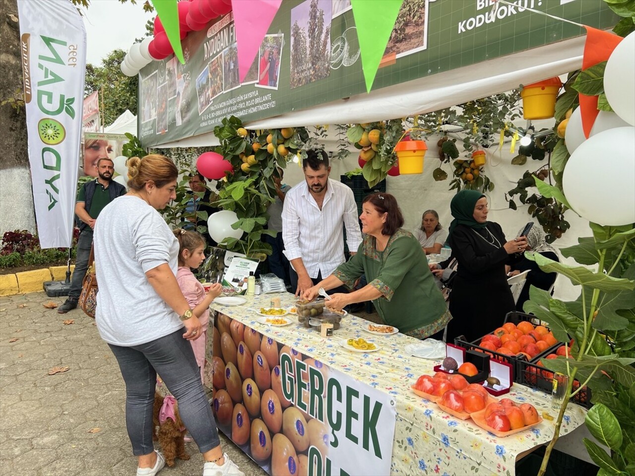 Yalova'nın Altınova ilçesine bağlı Subaşı beldesinde 11. Subaşı Kivi Festivali gerçekleştirildi....