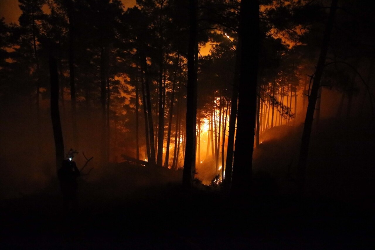 Muğla'nın Dalaman ilçesinde çıkan orman yangınlarına müdahale ediliyor. Dalaman'ın Elcik ve...