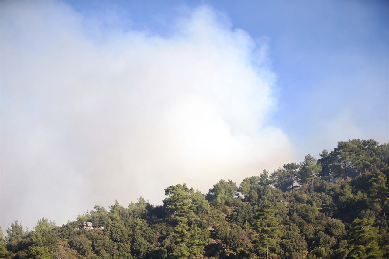 Muğla'nın Dalaman ilçesi Taşbaşı Mahallesi'nde çıkan orman yangınına havadan ve karadan müdahale...