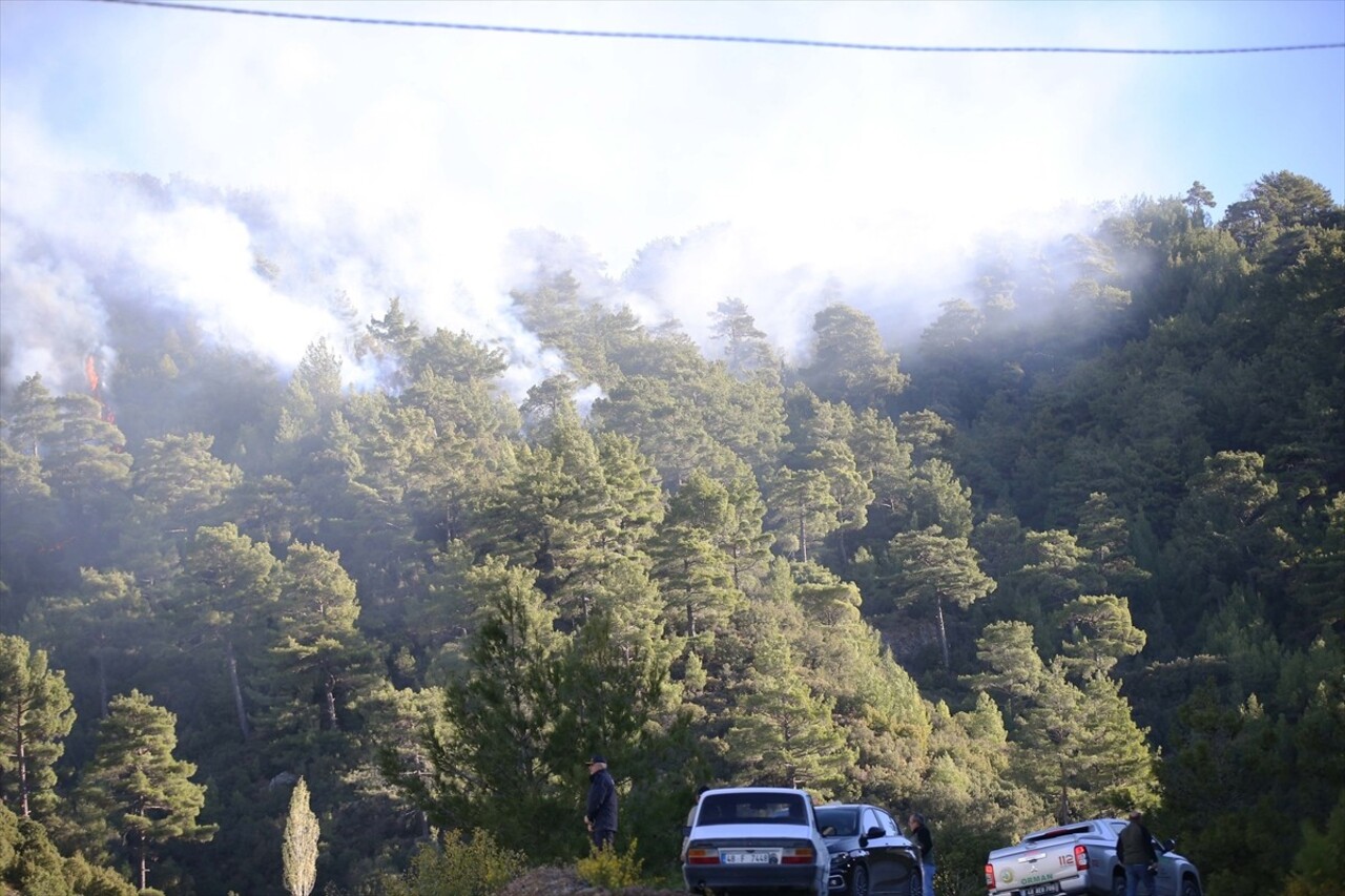 Muğla'nın Dalaman ilçesi Taşbaşı Mahallesi'nde çıkan orman yangınına havadan ve karadan müdahale...