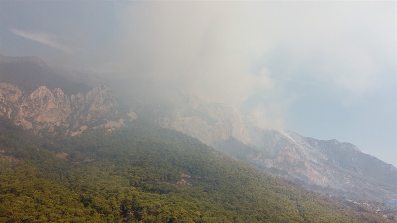 Muğla'nın Menteşe ilçesi Turnalı Mahallesi'nde sabaha karşı başlayan ve rüzgarın etkisiyle büyüyen...