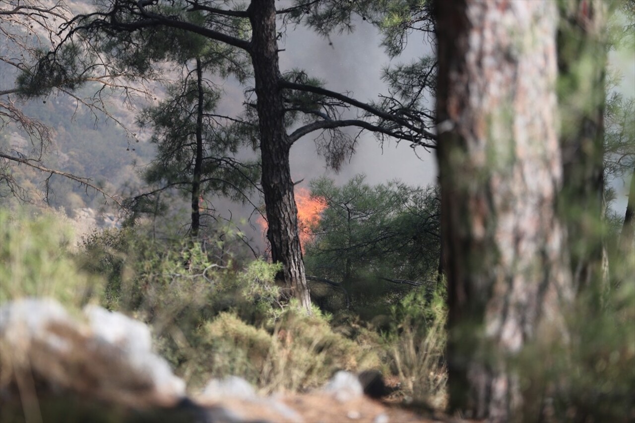 Muğla'nın Dalaman ve Menteşe ilçelerindeki orman yangınlarına havadan ve karadan müdahale sürüyor....