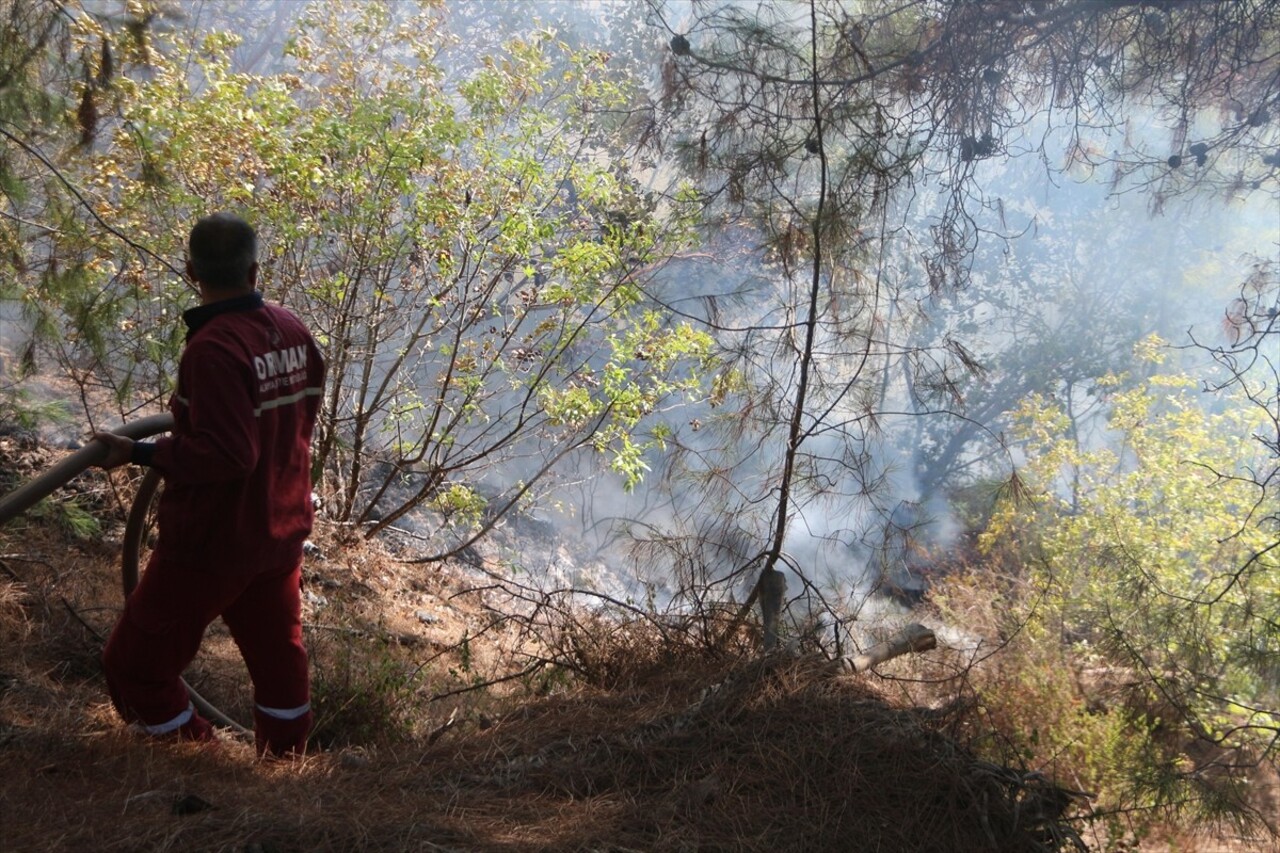 Antalya'nın Alanya ilçesinde çıkan orman yangını kontrol altına alındı. 