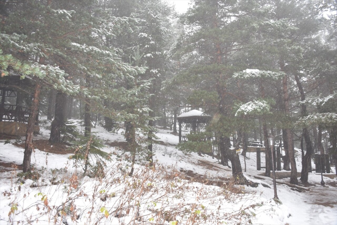 Gümüşhane'nin Torul ilçesindeki turizm merkezlerinden Limni Gölü Tabiat Parkı'nın çevresindeki...