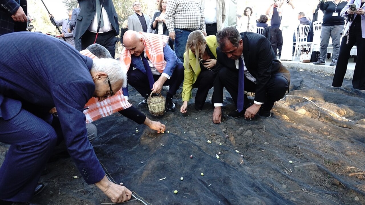 Balıkesir Ayvalık'ta "Turizmin değeri, zeytinyağının başkenti" temasıyla bu yıl 19'uncusu...