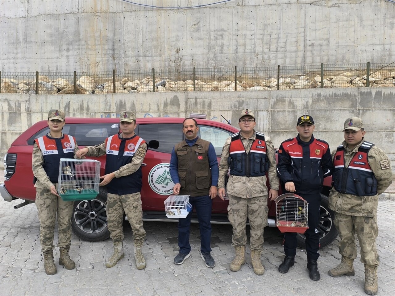 Şanlıurfa'da kaçak avcılara düzenlenen operasyonda ele geçirilen 20 saka kuşu doğaya...