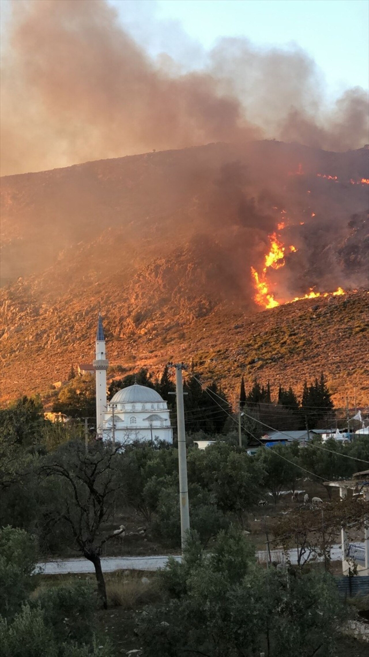 Muğla'nın Marmaris ilçesinde orman dışı makilik alanda çıkan yangın ekiplerin havadan ve karadan...