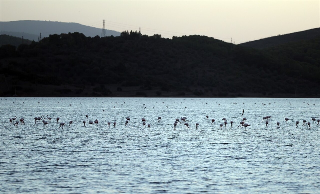 Muğla'nın Milas ilçesinde "ulusal öneme haiz sulak alan" olarak tescil edilen Tuzla Sulak...