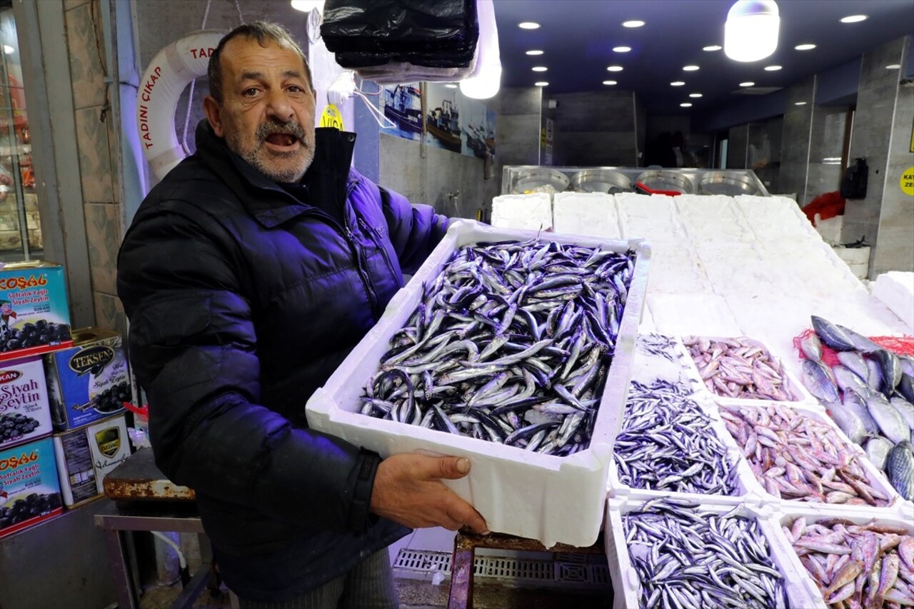 Samsun'da, Karadeniz'de avlanan hamsinin kilogramı 100 liradan satılıyor. Balıkçıların denizden...