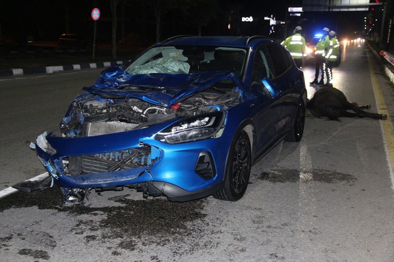 Manisa'nın Yunusemre ilçesinde, yola çıkan ata çarpan otomobildeki 3 kişi yaralandı. Kazada...