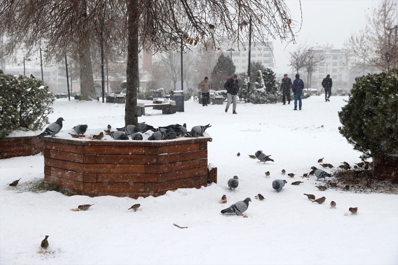 Sivas'ta etkili olan kar yağışı, kent merkezini beyaza bürüdü.